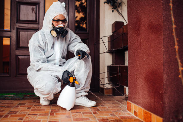 Reliable Cockroach Control contractor in Annandale, NJ by Nex Pest Control